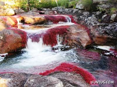 Most Colorful River In The World